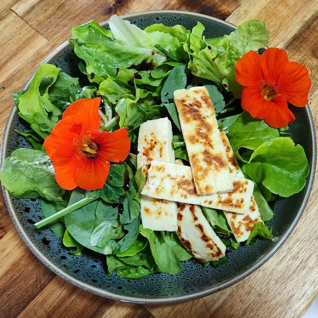 Freshly picked salad greens with Nasturtium flowers