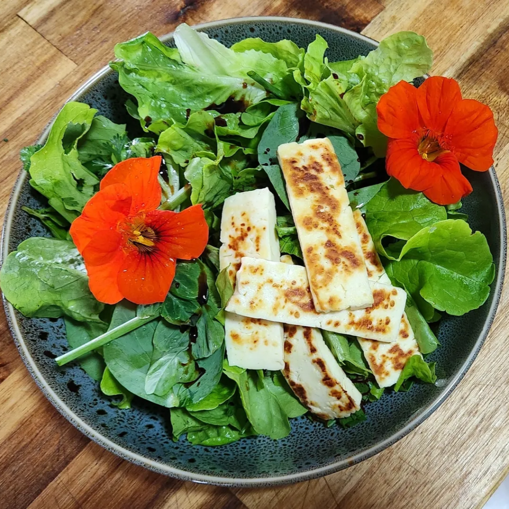 Home picked salad from the garden with nasturtium flowers and haloumi